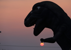 夕日とお遊び