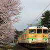 ローカル線と桜