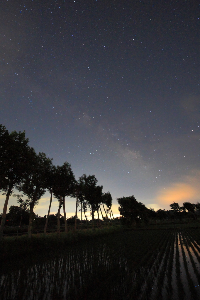 星空と田んぼ