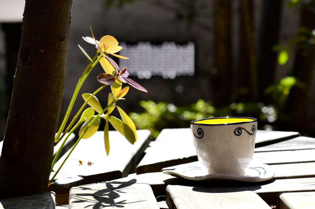 昼下がりの休息