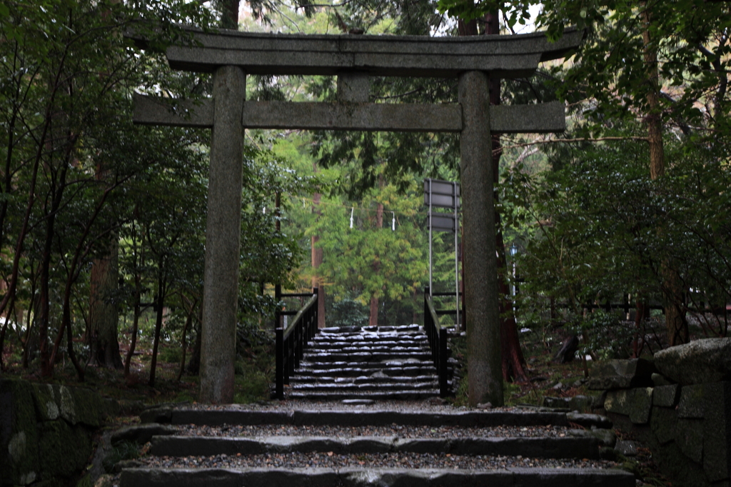 雨の弥彦