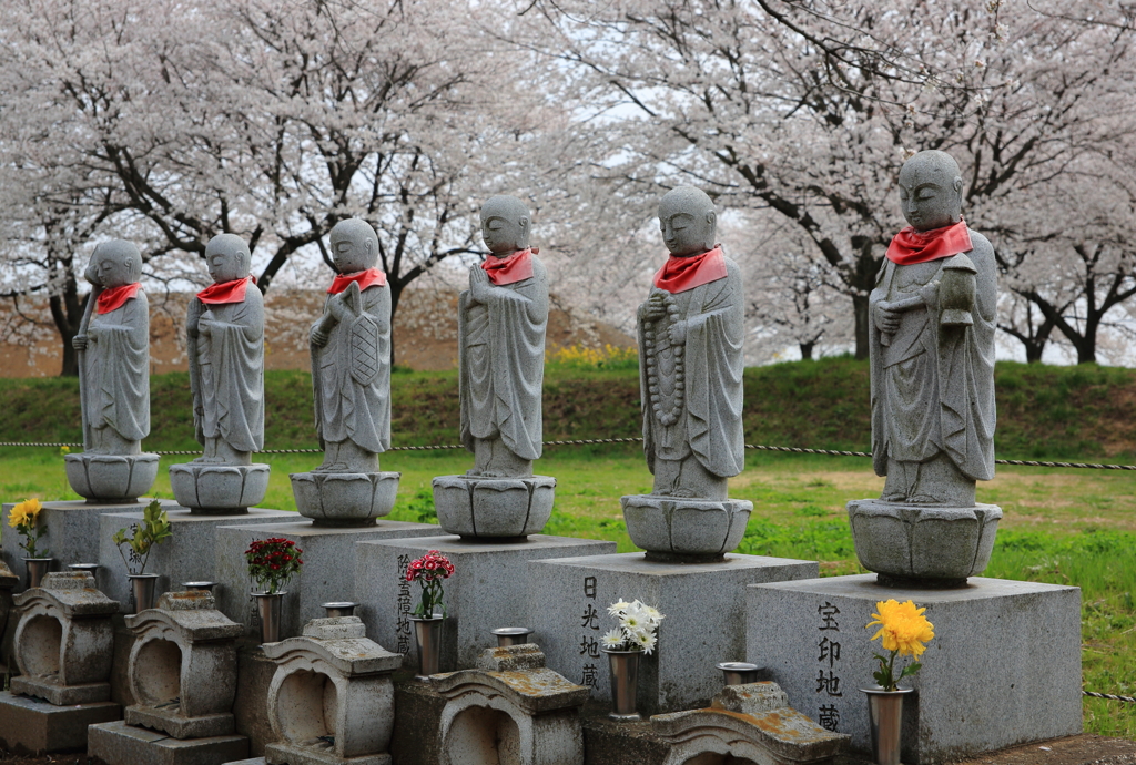 お地蔵様と桜