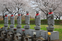 お地蔵様と桜