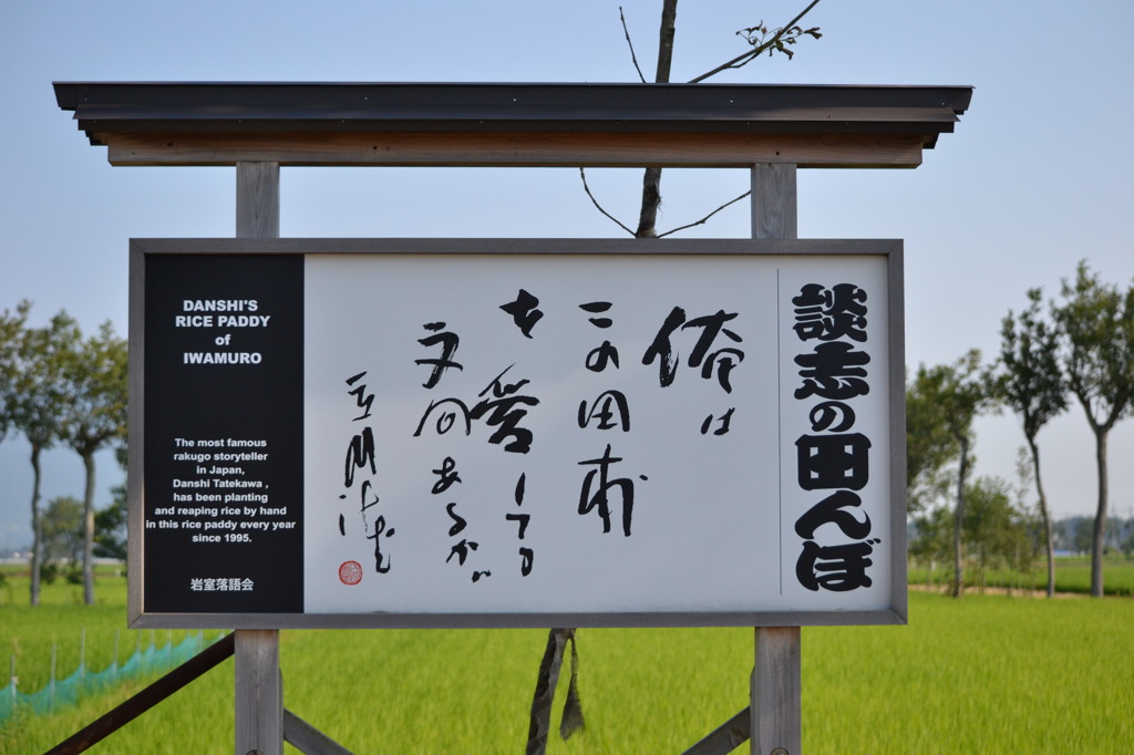談志の田んぼ