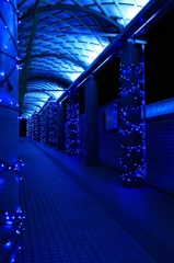 イルミネーション8