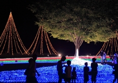 イルミネーション7