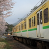 朝日を浴びた車窓も桜満開