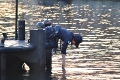 ディィズニー　シー