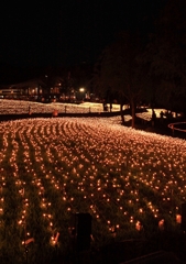 イルミネーション1