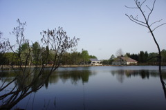 DSC02390