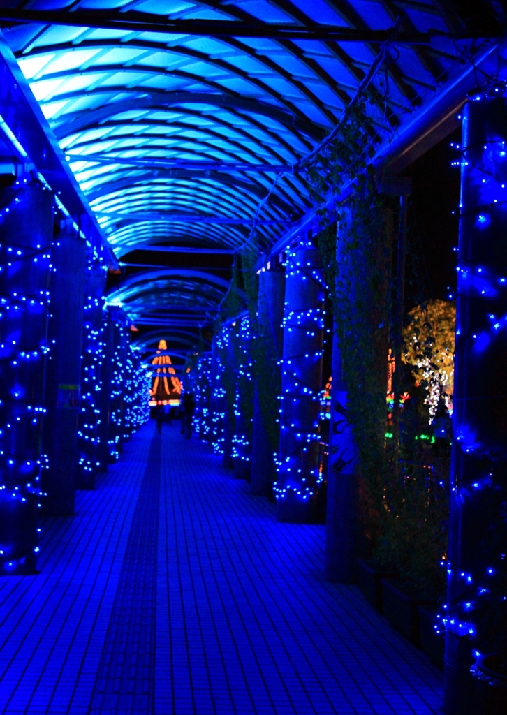 イルミネーション9