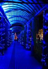 イルミネーション9