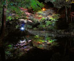 水面に浮かぶ、もみじ谷