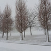 本日猛吹雪