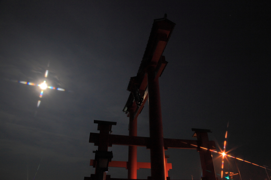 夜更けの大鳥居