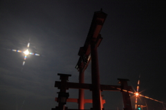 夜更けの大鳥居