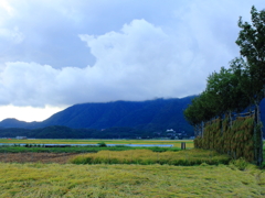 弥彦山、国上山と夏井のはさ木