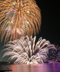 阿賀野川フォトコンテストで特選  "夜空に咲く　大輪の花"