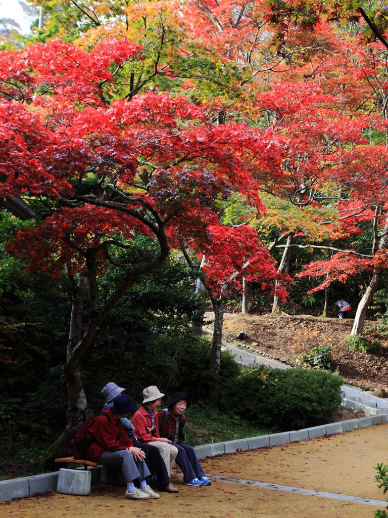 紅葉inもみじ谷