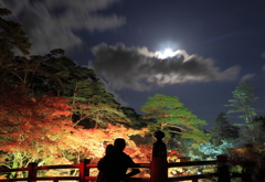 見とれる,もみじ谷
