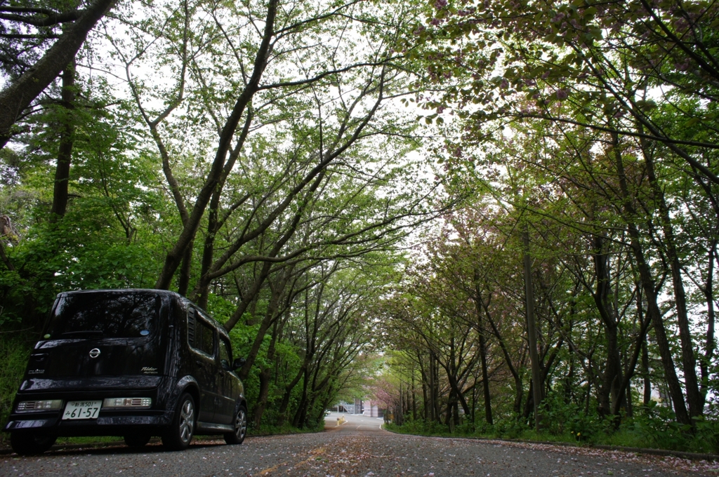 ロード