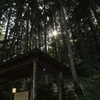 降り注ぐ太陽