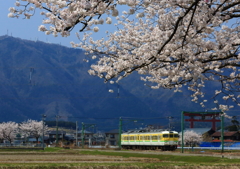 春爛漫