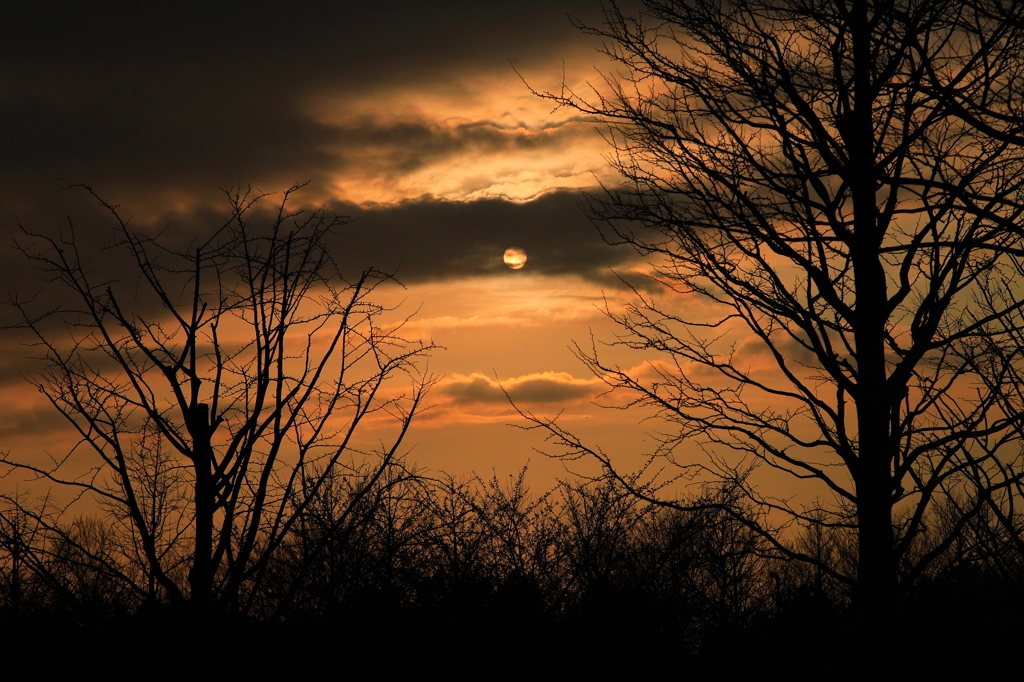 春の予感”夕日”