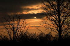 春の予感”夕日”
