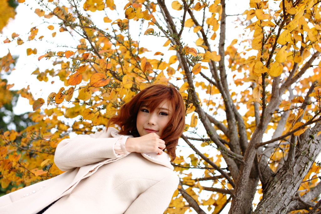 rin ando-1