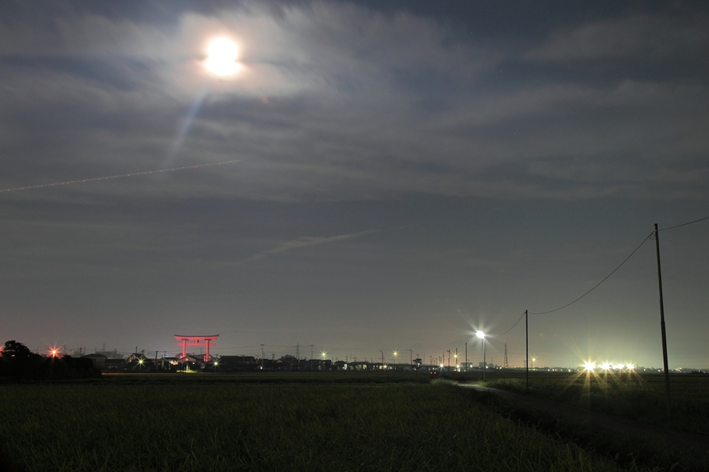 あぁ飛行機が、鳥居の夜景