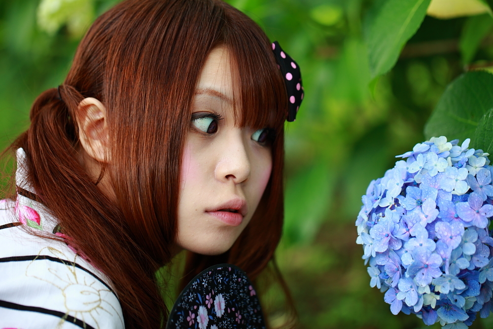 紫陽花を見つめて