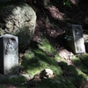 陽と陰