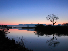 夜明けの福島潟