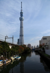 川辺のスカイツリー