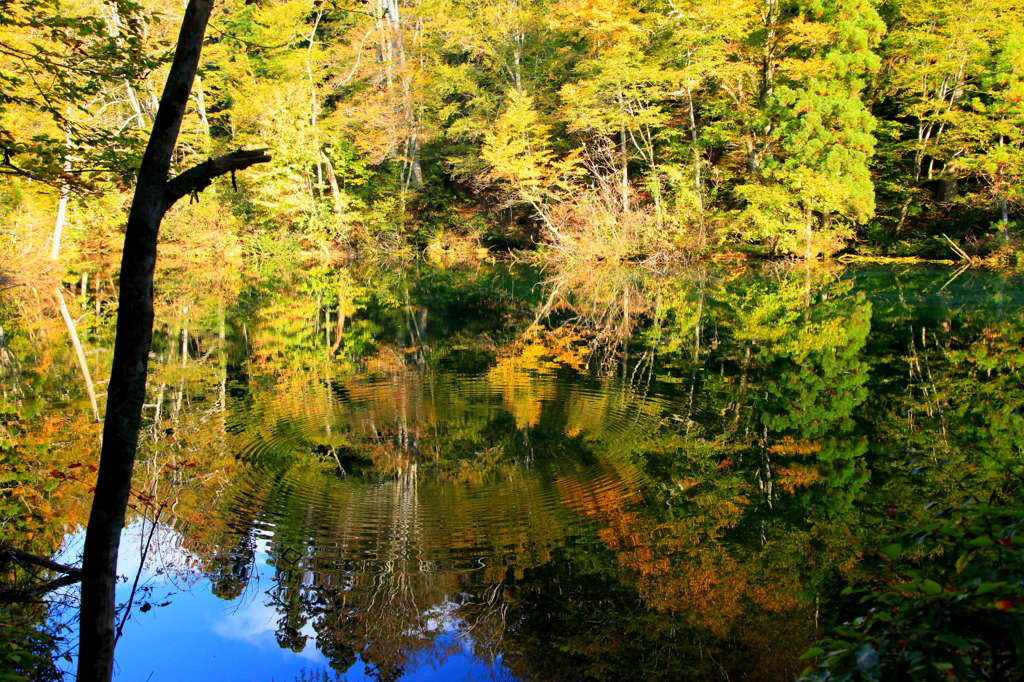 名水百選”竜ケ窪”