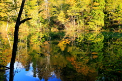 名水百選”竜ケ窪”