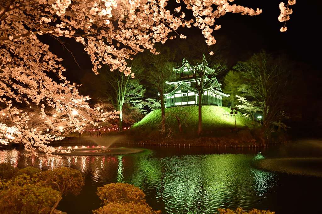 上越高田公園ライトアップ