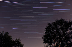 南の星空