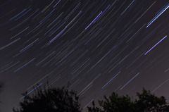 東の星空