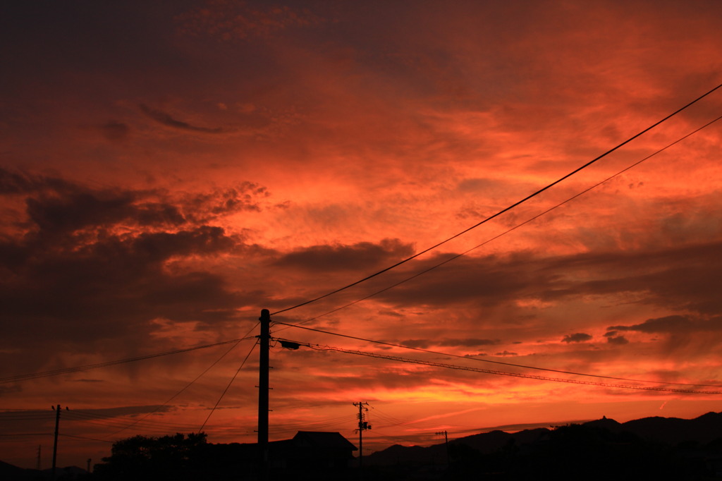 紅蓮の空