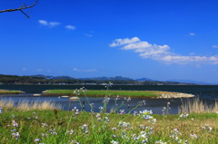 宍道湖