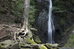 道志から山中湖へ1