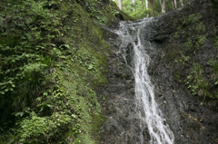 道志から山中湖へ3