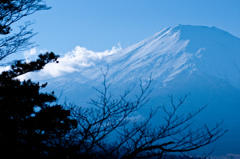 青山