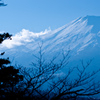 青山