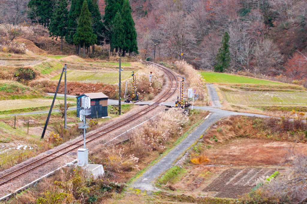 福島の山奥で
