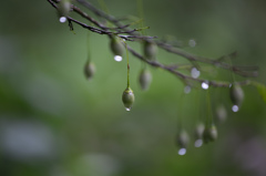 雨の前後2