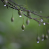 雨の前後2