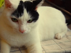 ベランダでのんびり